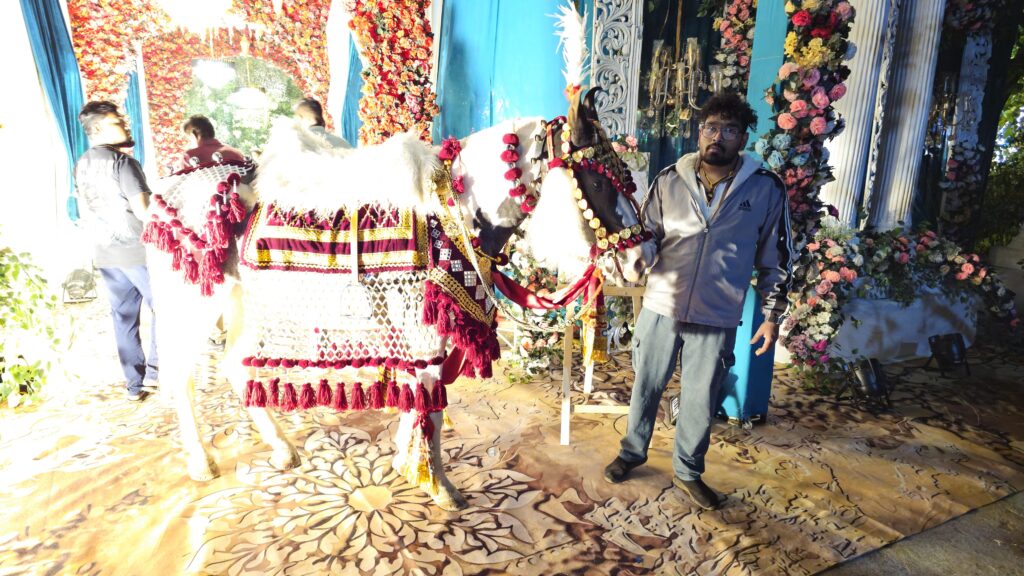 4 horse baggi for wedding in Jabalpur